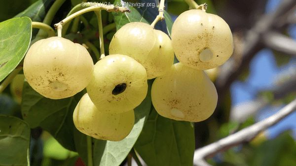 P1110552_600x338