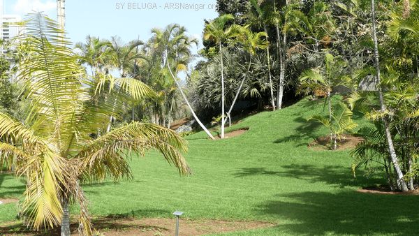 P1110556_600x338