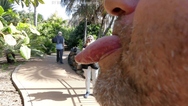 P1110564_600x338