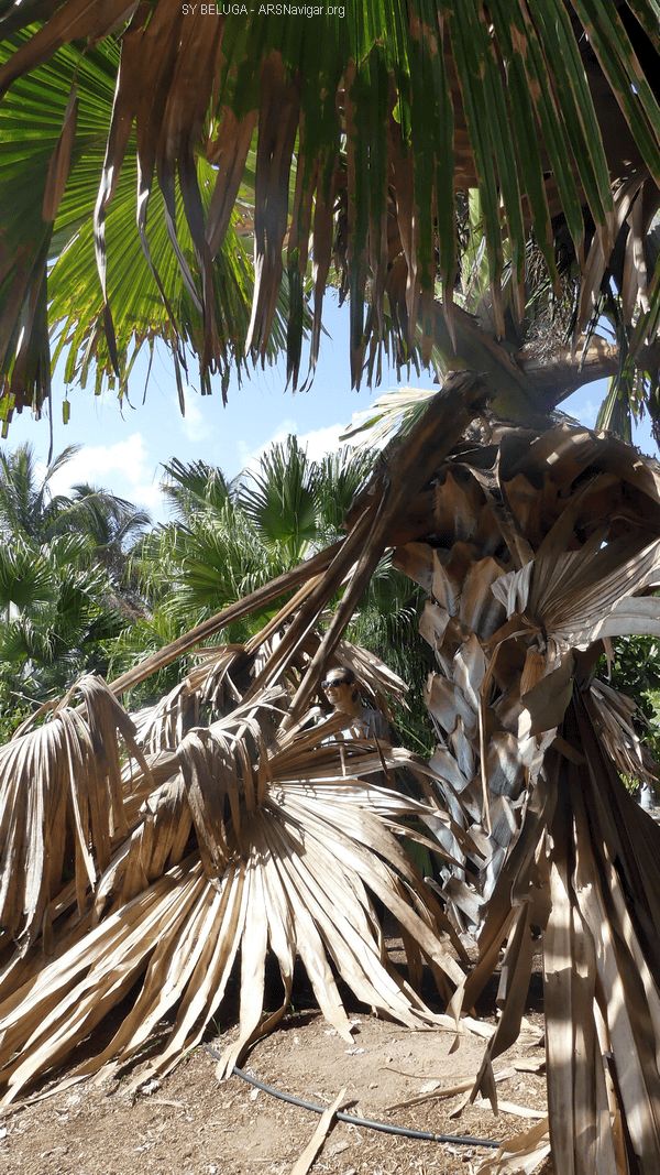 P1110568_600x1067