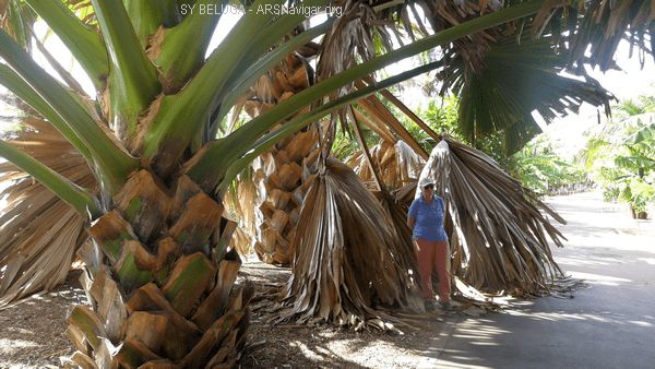 P1110577_600x338