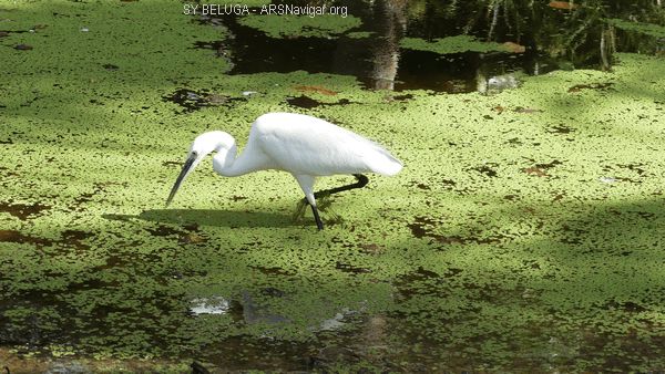 P1110753_600x338