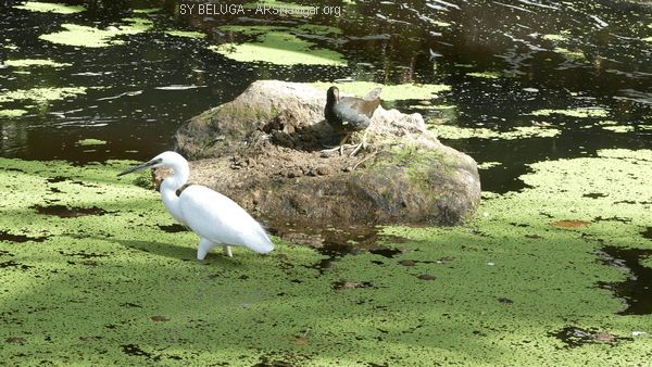 P1110771_600x338