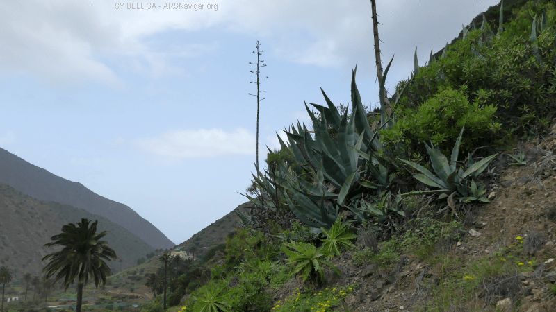 P1120049_800_450