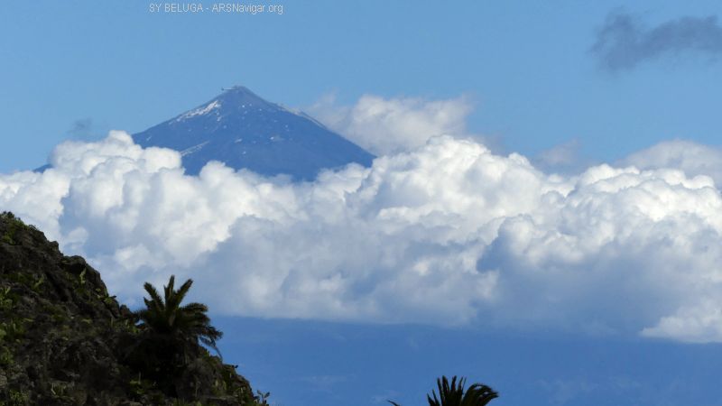 P1120084_800_450