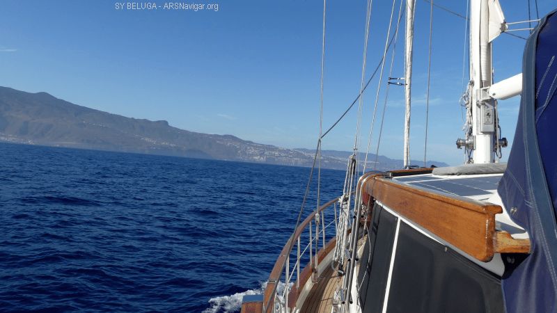 P1120121_800_450