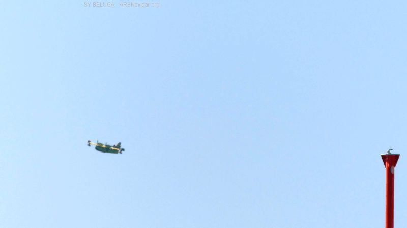 P1120202_800_450