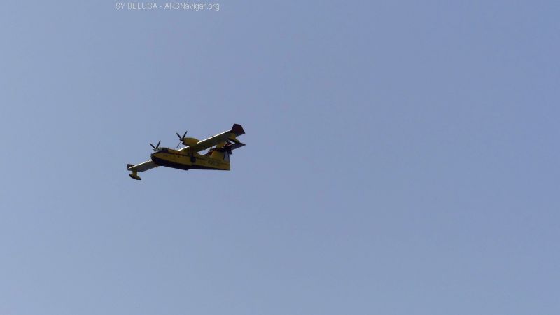P1120208_800_450