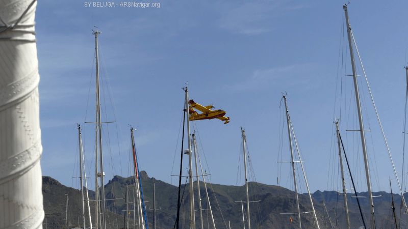 P1120213_800_450