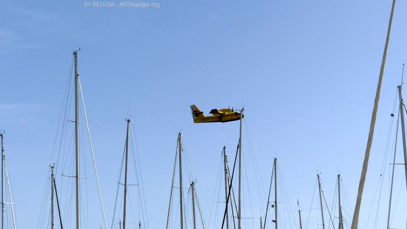 P1120214_800_450