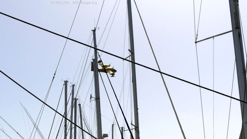 P1120216_800_450