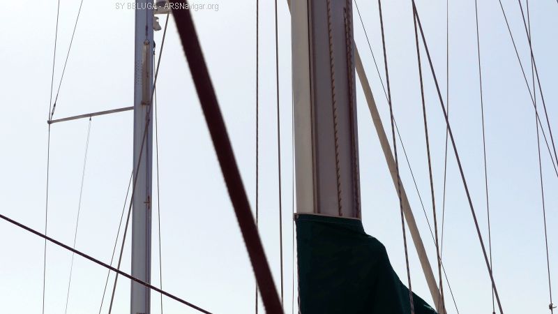P1120217_800_450