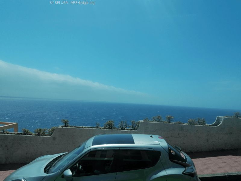 IMG_20230414_124055_800_600