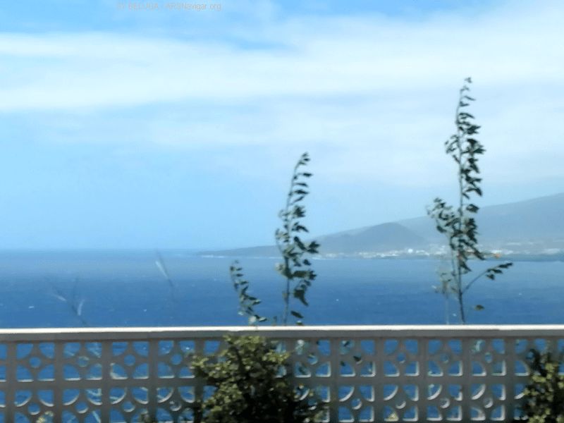 IMG_20230414_124237_800_600