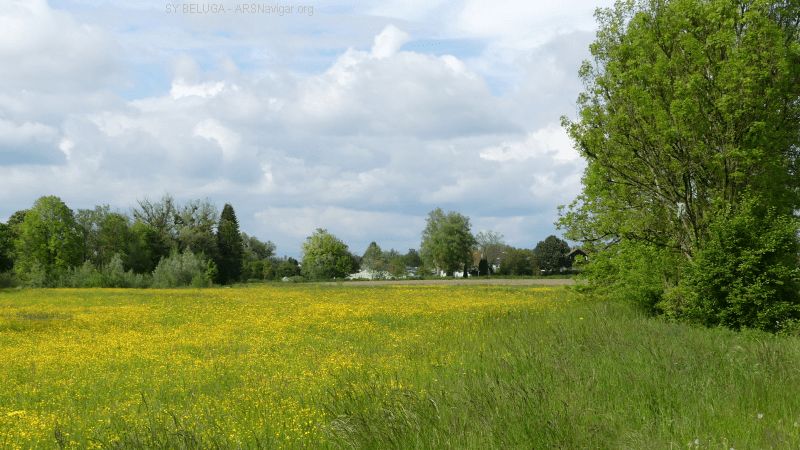 P1120328_800_450