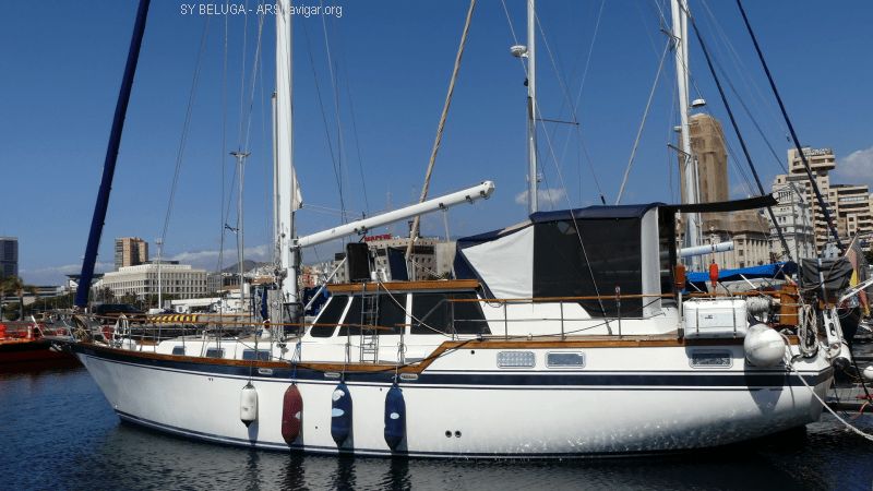 P1120470_800_450