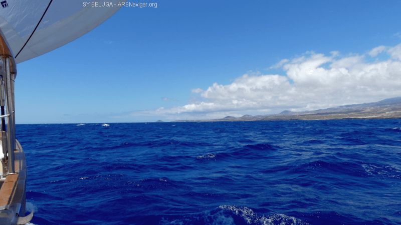 P1120480_800_450