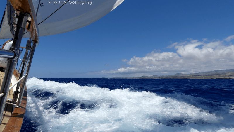 P1120483_800_450