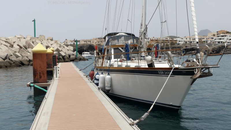P1120617_800_450