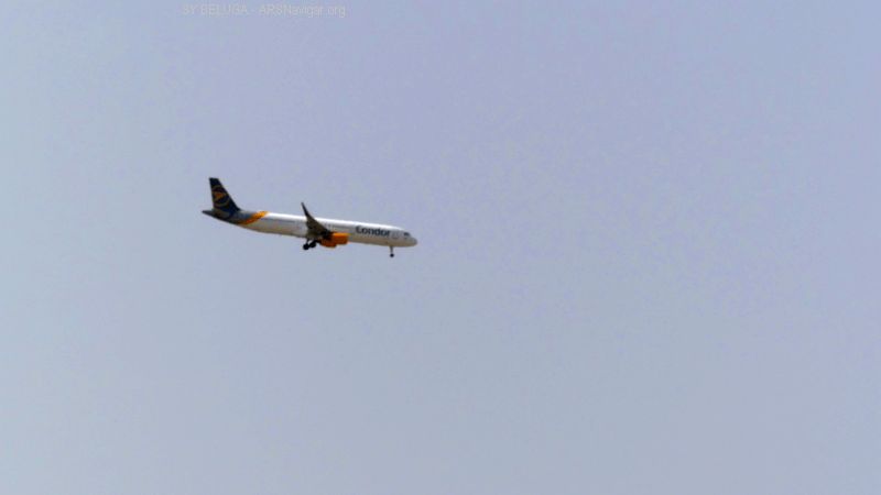 P1120623_800_450