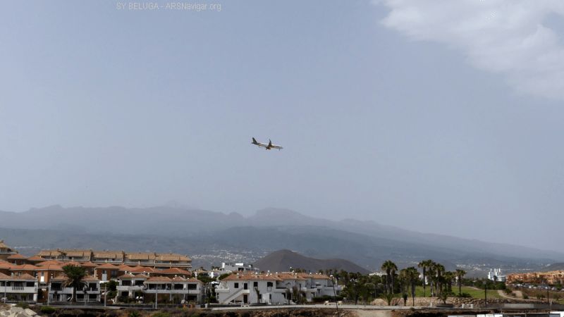P1120624_800_450