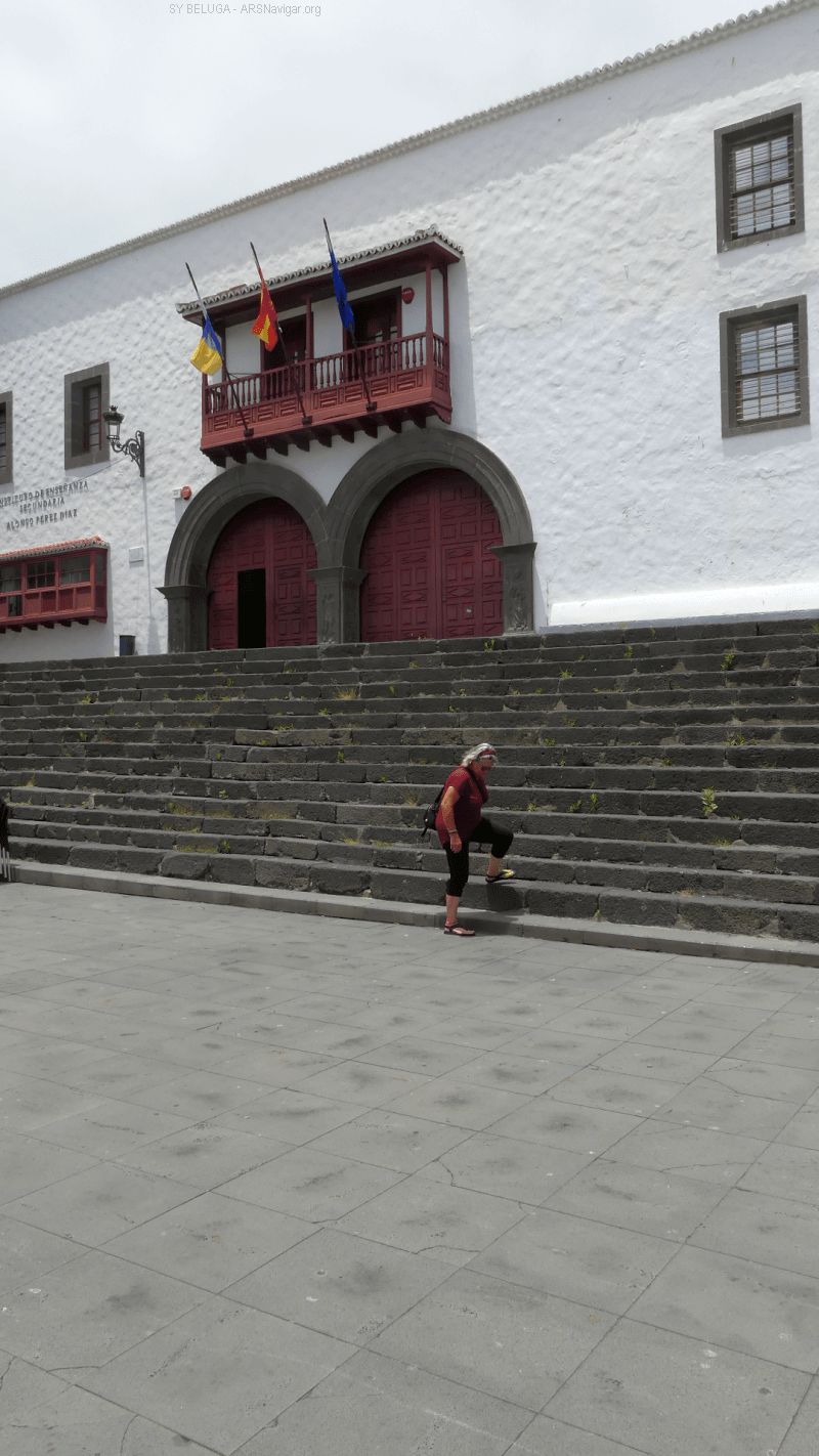 P1120666_800_1422