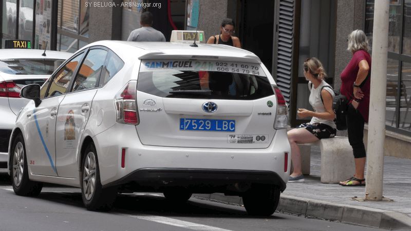 P1120684_800_450