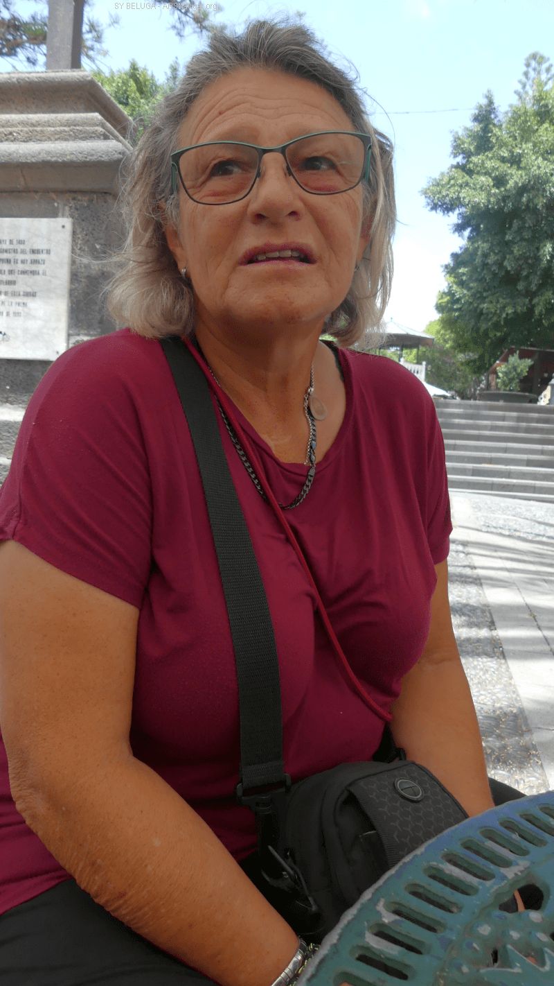 P1120715_800_1422