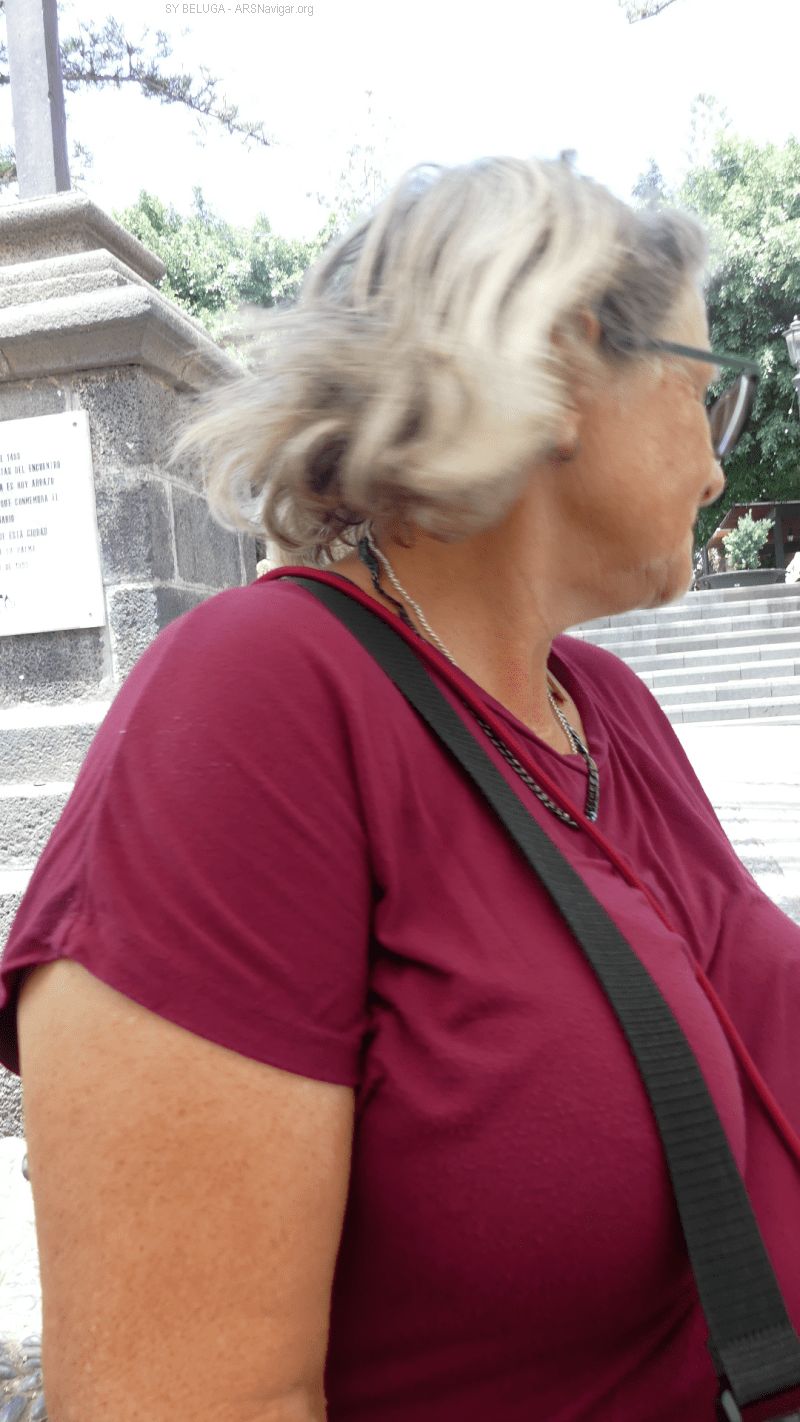 P1120717_800_1422
