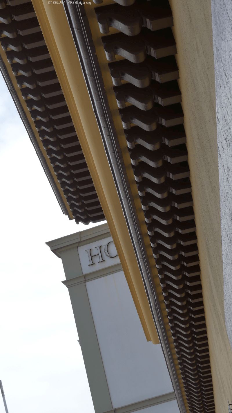 P1120737_800_1422