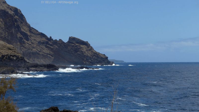 P1130329_800_450