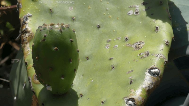 P1130458_800_450