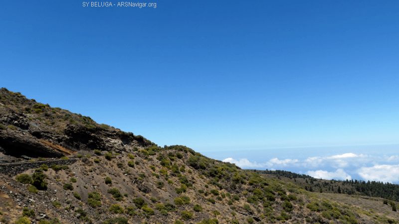 P1130597_800_450