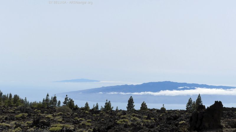 P1130967_800_450