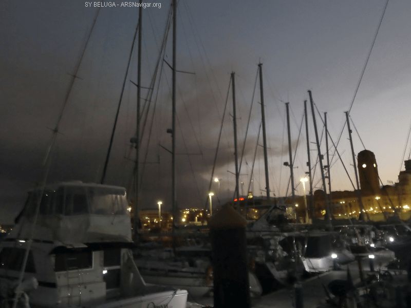 P1140107_800_600
