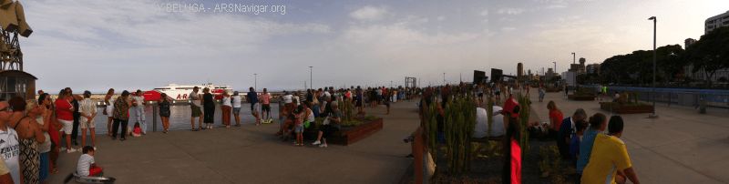 P1140317_800_202