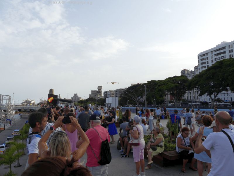 P1140472_800_600