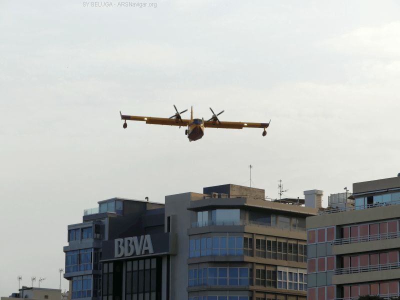 P1140698_800_600