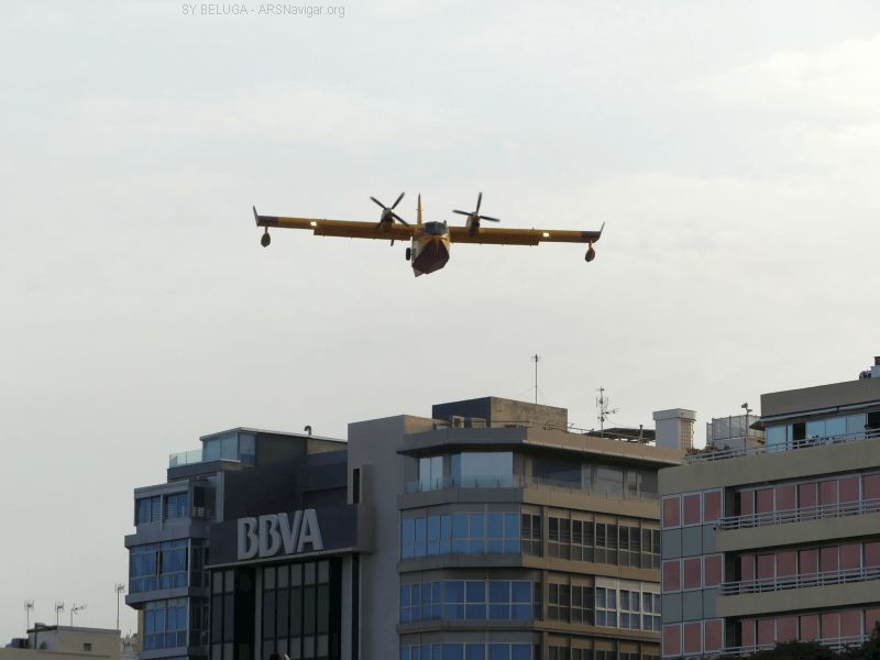P1140702_800_600
