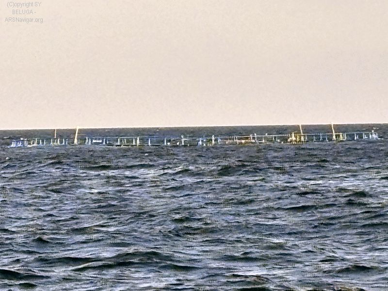 2024-06-18 20.03.19_800_600