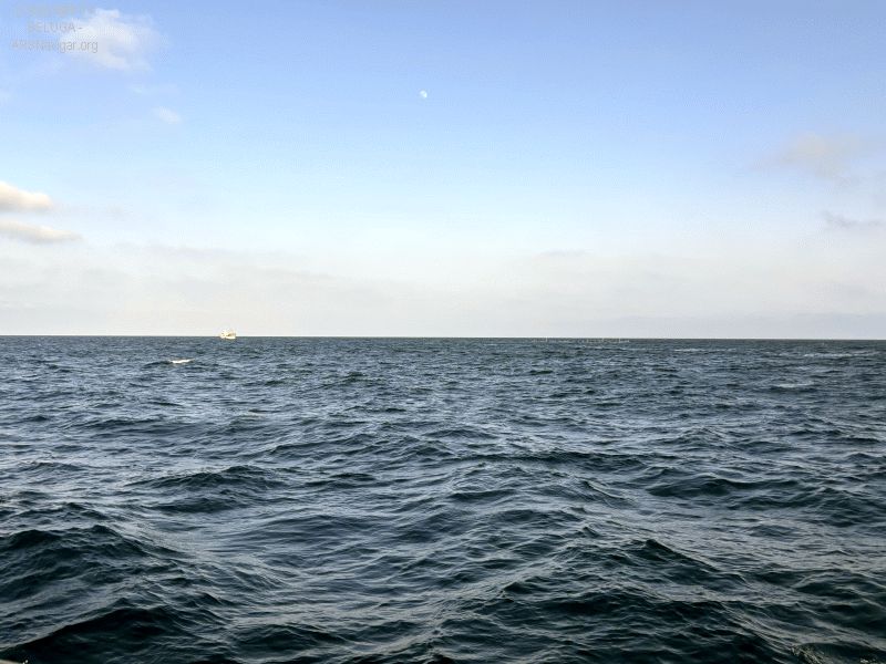 2024-06-18 20.03.34_800_600
