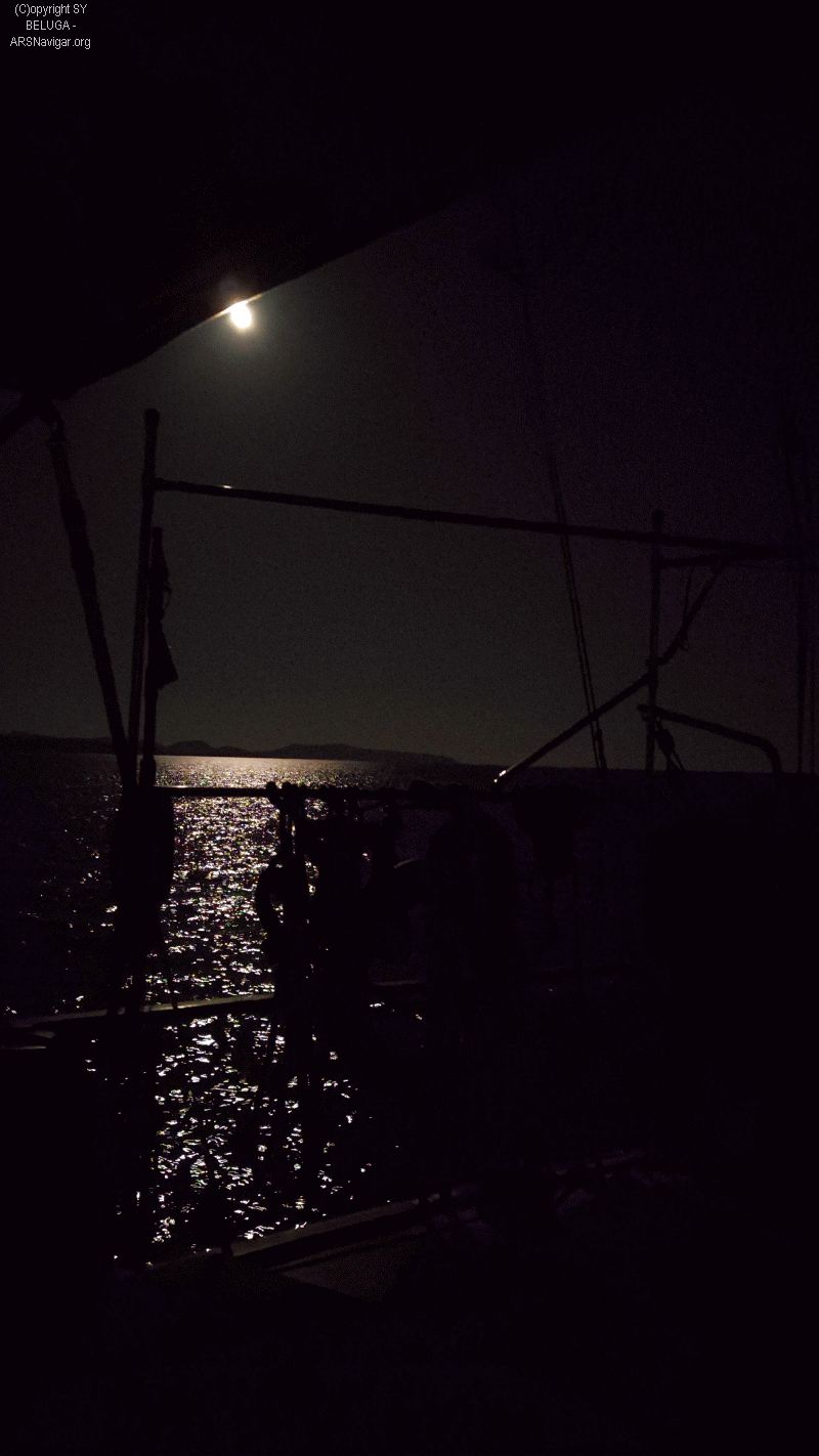 IMG_20240626_023602_800_1422