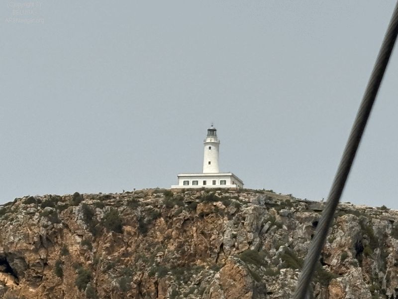 2024-06-19 12.58.23_800_600