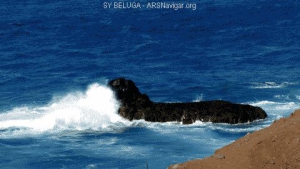 Madeira, eine Insel wilder Schönheit