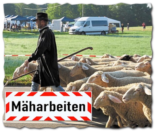 Mäharbeiten